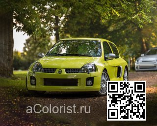 RENAULT | CLIO SYMBOL 2 (X65) | J36 - JAUNE SATURNE 1