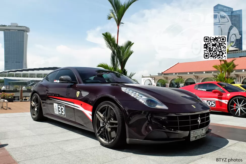 Ferrari | FF | 390, 80752300 - VINACCIA (СОЛИД) 0