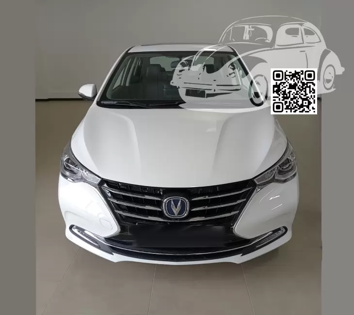 Alsvin | W22 - SNOWY WHITE, СНЕЖНЫЙ БЕЛЫЙ (СОЛИД) 1