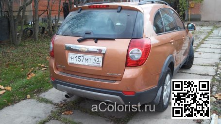 Chevrolet | CAPTIVA | 94U - ZEST BROWN 3