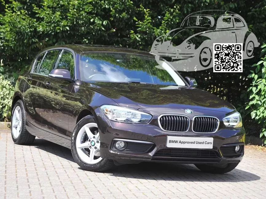 BMW | 1 Series (F20, F21) | B53 - SPARKLING BROWN (с 2017) 0