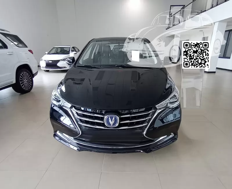 Alsvin | LA5 - PEARLESCENT BLACK 1