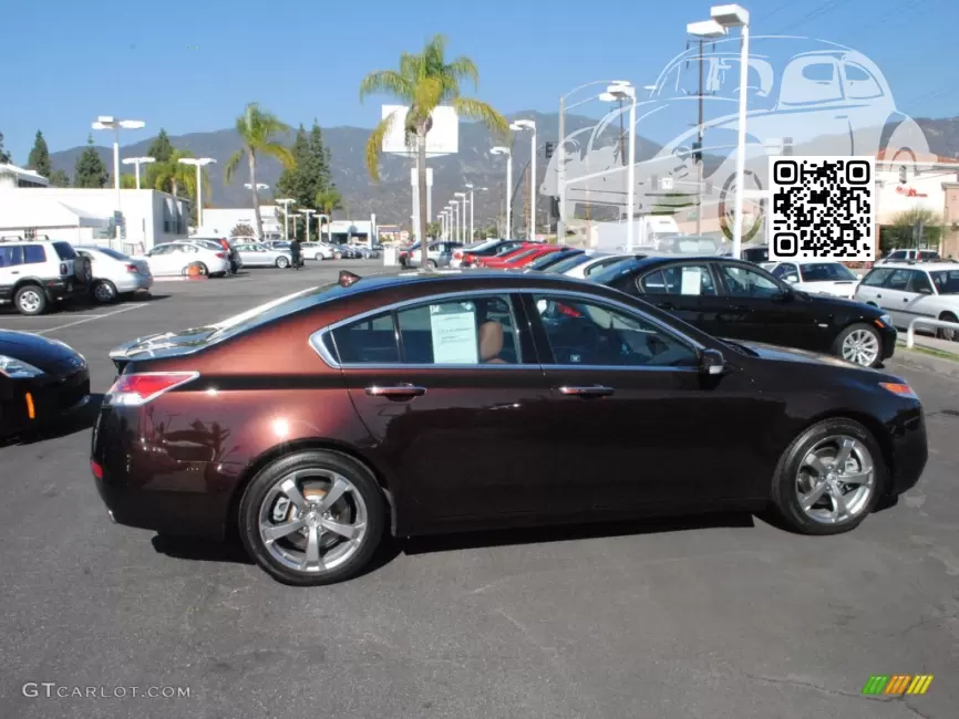 TL (UA8-UA9) | YR569M, YR569MX - ROOTBEER, MAYAN BRONZE (2009-2011) 1