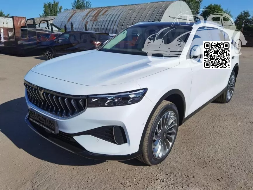 Voyah | Free | LT6 - PEARL WHITE, АРКТИЧЕСКИЙ БЕЛЫЙ 0