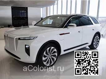Hongqi | E-HS9 | A4D - ARCTIC WHITE (Солид) 0
