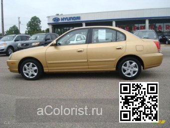 Hyundai | ELANTRA 3 (XD) | UE - GOLD SAVOR HAZELNUT, HAZELNUT 2