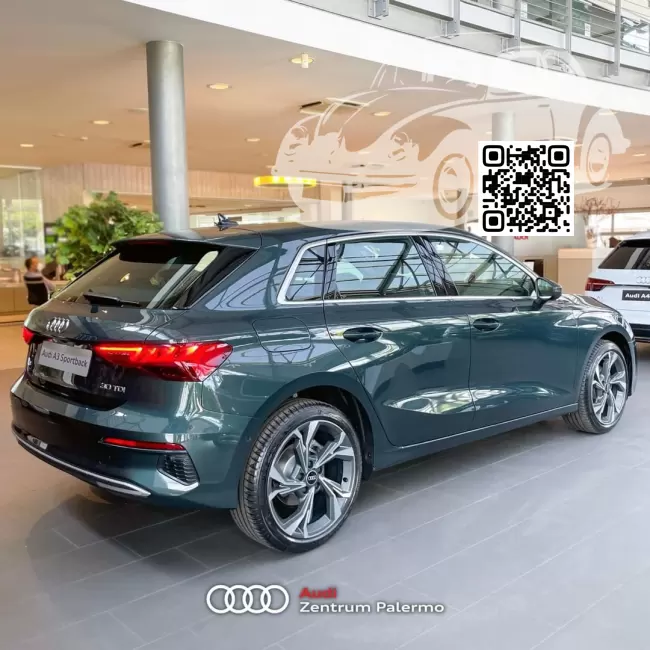 Audi | A3, A3 Sportback IV (8Y) | X6T, LX6T, 9S, 9S9S - CAMOUFLAGE GREEN, CAMOUFLAGEGRUEN, VERDE CAMOUFLAGE/VERDE HEBE 1