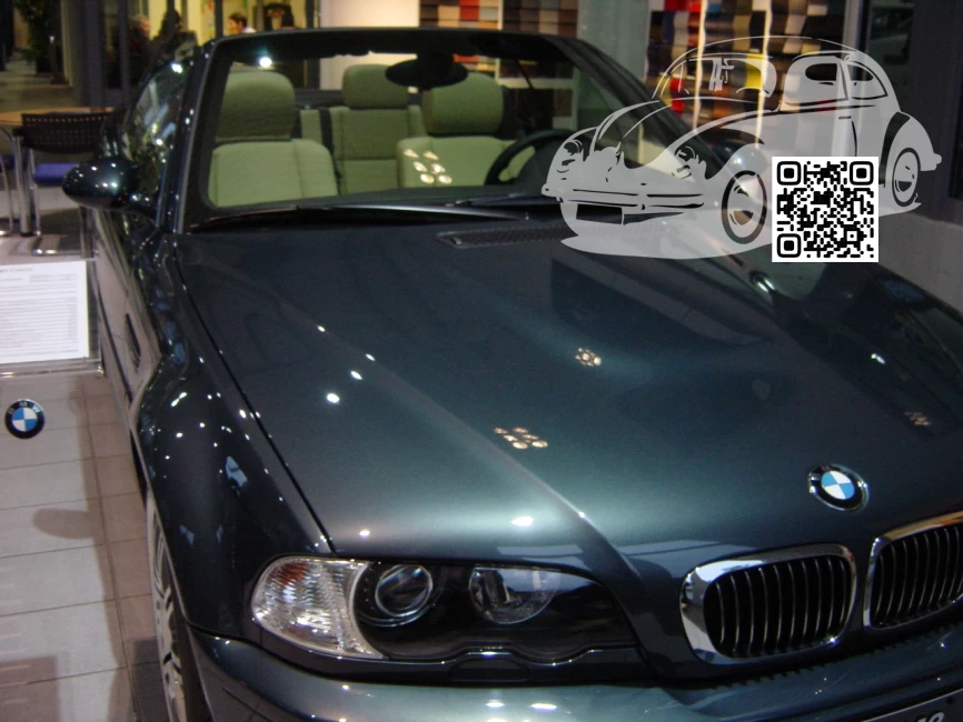BMW | 3 Series (E46) | 406 - ORINOCO, ORINOCO METALLIC 1