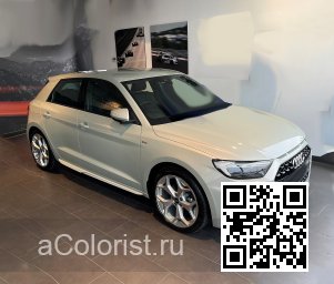 LX7E, X7E, N8, N8N8 - DEW SILVER, TAUSILBER, PLATA ROCIO (с 2022) 1