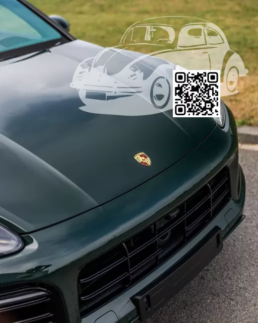 Porsche | CAYENNE 3 (9Y0, 9YA, 9Y3, PO536) | 6T, Z6X, LZ6X, 6T6T - GOODWOOD GREEN, GOODWOODGRUEN, VERDE GOODWOOD (Audi colors) 0