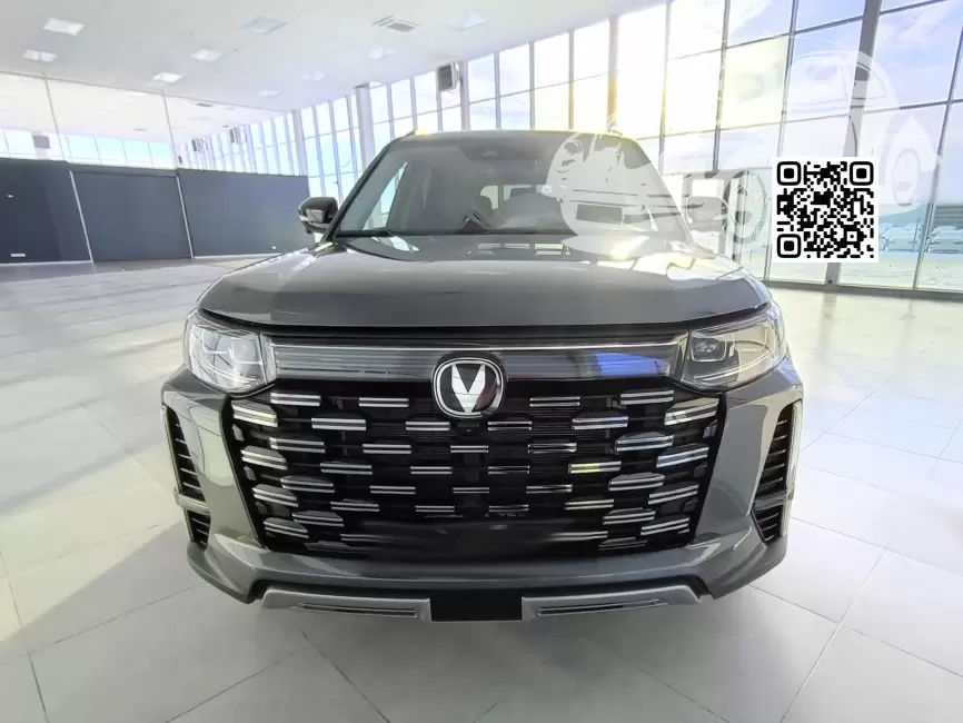 CS95 | SG6, 062, SH8, Y24 - ANDEAN ASH, ANDEAN GRAY 0