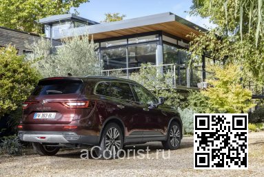 Renault | KOLEOS 2 | NPN - ROUGE MILLESIME, VINTAGE RED, MANGOSTAN ROT (с 2019) 2