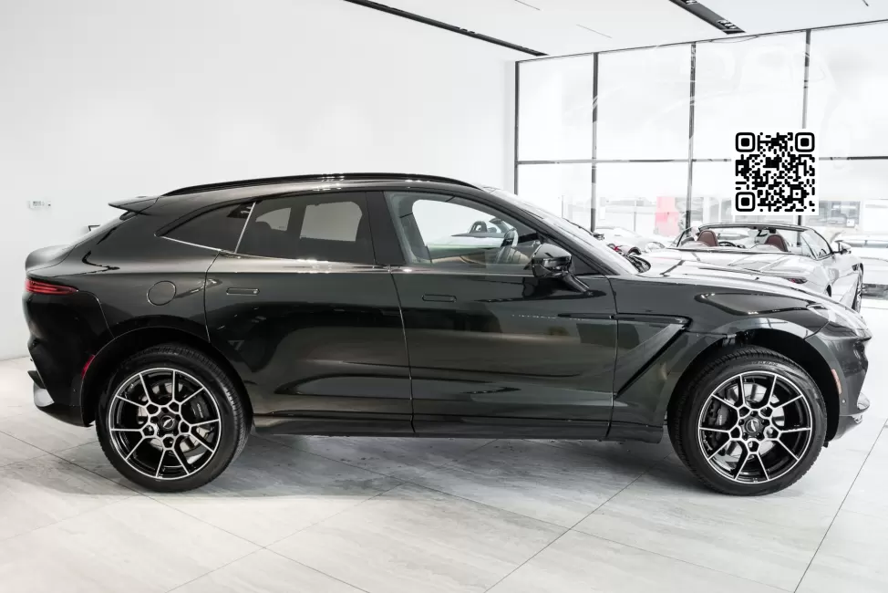 Aston Martin | DBX (AM8) | AST 6044 - MINOTAUR GREEN (с 2020) 1