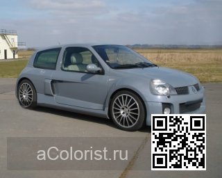 RENAULT | CLIO SYMBOL 2 (X65) | D60 - GRIS LUNE 0
