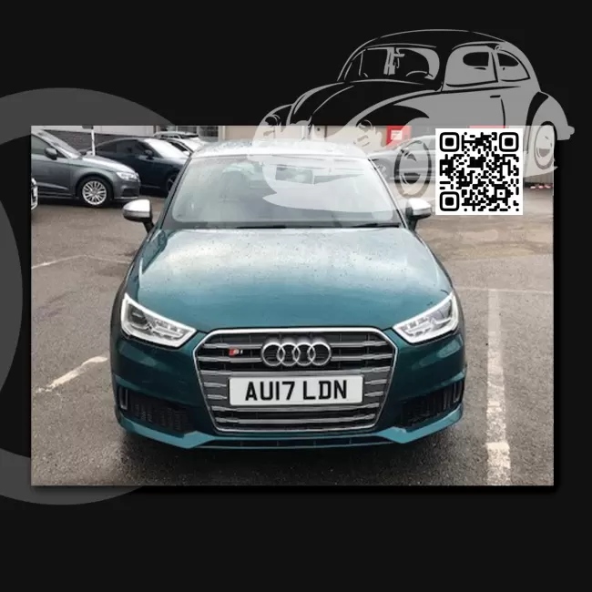 A1, S1 (8X) | Z6P, LZ6P, L9, L9L9 - GOMERA PEARL, GOMERAGRUEN, GOMERA PERLEFFEKT 0