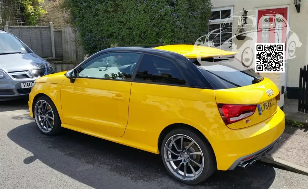 A1, S1 (8X) | Z1A, LZ1A, L1, L1L1 - VEGAS YELLOW, VEGASGELB (СОЛИД) 1