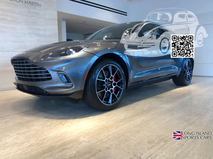 Aston Martin | DBX (AM8) | P6005ABB, 6005D - MAGNETIC SILVER 0