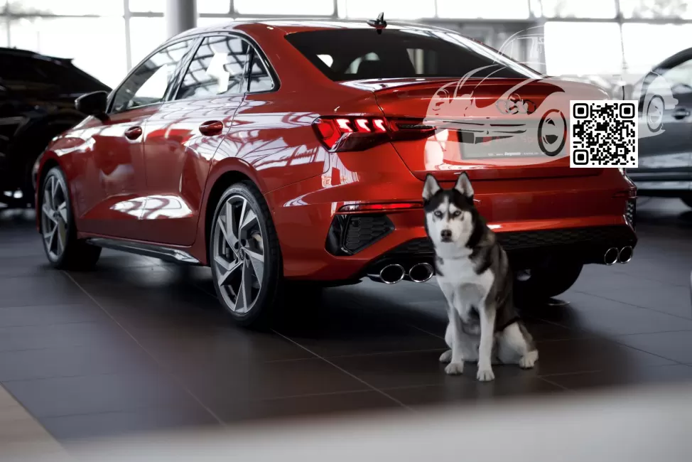 Audi | A3, A3 Sportback IV (8Y) | 487, 487U, 2487 - AVENTURINE ORANGE, AVENTURINORANGE (MERCEDES) 1