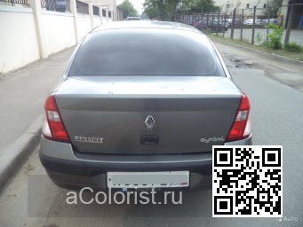 RENAULT | CLIO SYMBOL 2 (X65) | 603 - GRIS HOLOGRAMME 3