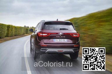 Renault | KOLEOS 2 | NPN - ROUGE MILLESIME, VINTAGE RED, MANGOSTAN ROT (с 2019) 1