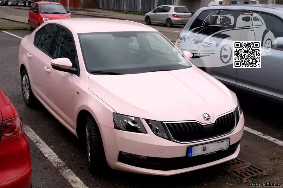 Skoda | OCTAVIA 3 (5E, A7) | 9311, LF3F, F3F - RUZOVA BABY, SUBROSA UNI, BABY PINK (СОЛИД) 0