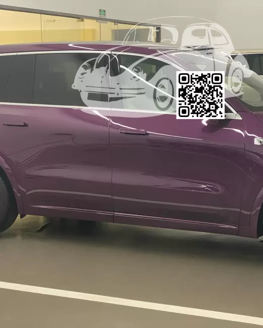 L9 (X01) | EP01 - PURPLE SPECIAL EDITION PEARL 1