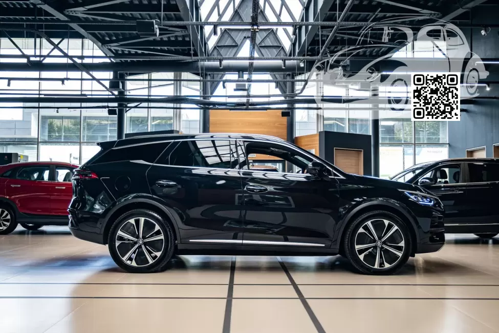 TANG EV | BCM, A3 - SILVER BLACK, SILVER SAND BLACK, NOIR SABLE ARGENTE 1