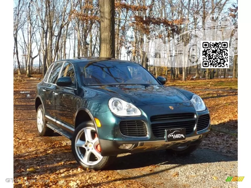 Porsche | CAYENNE (9PA, 955, 957) | G4, LM6W, 2B9 - DARK TEAL, LAGOGRUEN 0