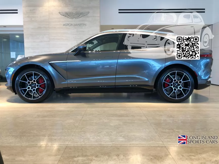 Aston Martin | DBX (AM8) | P6005ABB, 6005D - MAGNETIC SILVER 1