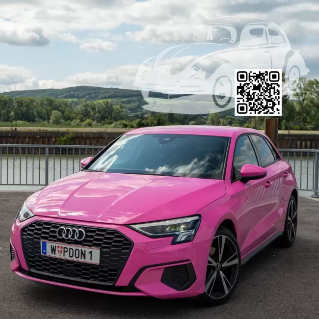 Audi | A3, A3 Sportback IV (8Y) | 4003-GL, RAL 4003 - ERIKAVIOLETT, ERIKA VIOLETT, ERIKAVIOLETT UNI (СОЛИД) 0