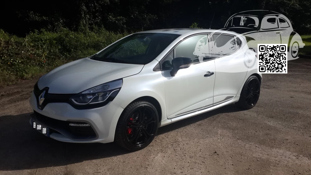 Renault | CLIO 4 (X98) | QND - GIVRE, GIVRE NACRE 0