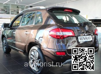 Renault | KOLEOS | CNB - BRUN MOKA 1