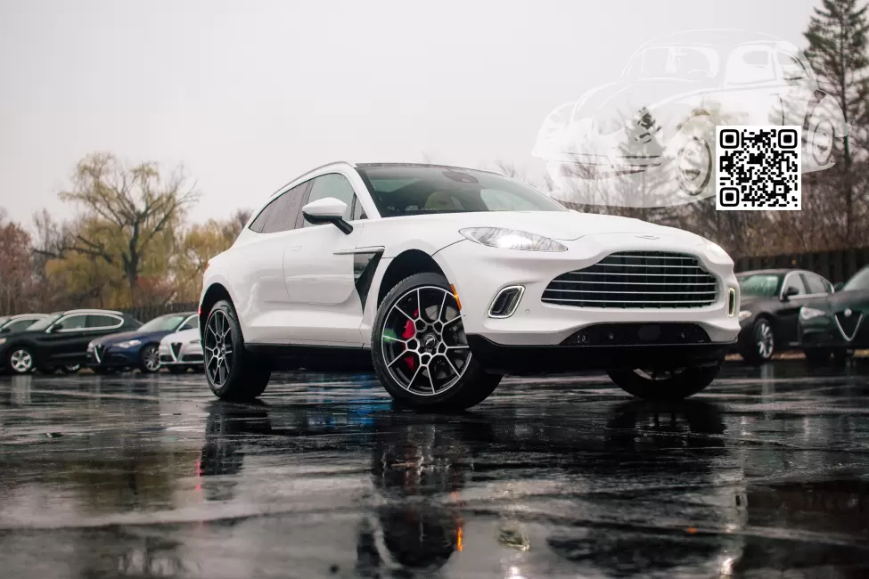 Aston Martin | DBX (AM8) | AM1251 - LUNAR WHITE (СОЛИД) 0