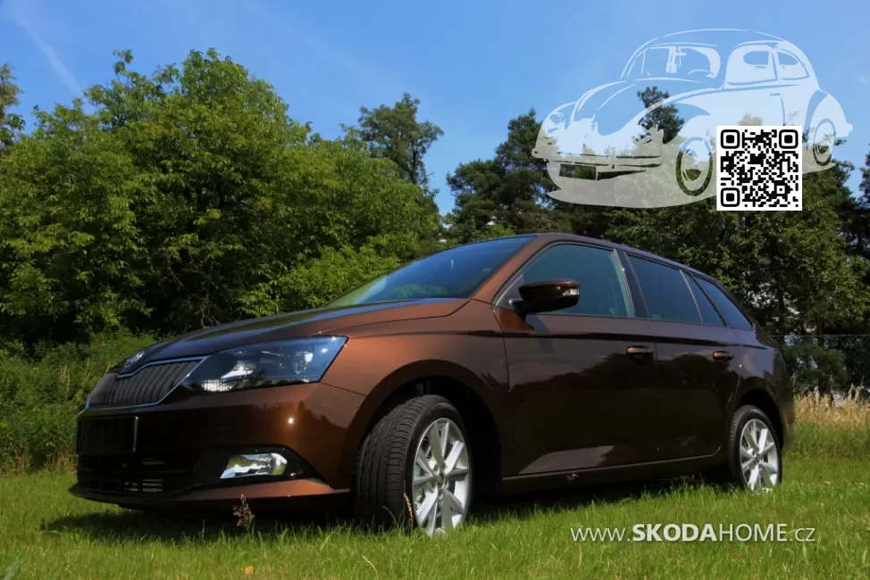 Skoda | FABIA 3 (NJ) | 9896, LF8Y, F8Y - HNEDA AMBER, AMBER BRAUN, AMBER BROWN 0