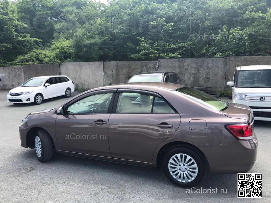 TOYOTA | ALLION, PREMIO II (T260, NZT260, ZRT260, ZRT261, ZRT265) | 4W4 - TOASTED WALNUT, DARK CHERRY, RUSTIC BROWN, DARK SHERRY MICA 1