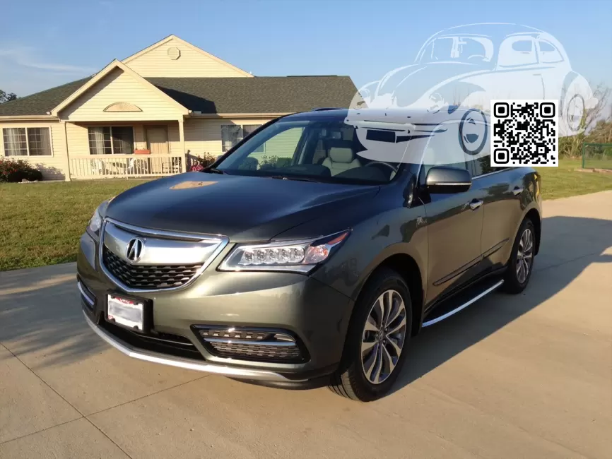 MDX (YD3) | G537M - FOREST MIST 0