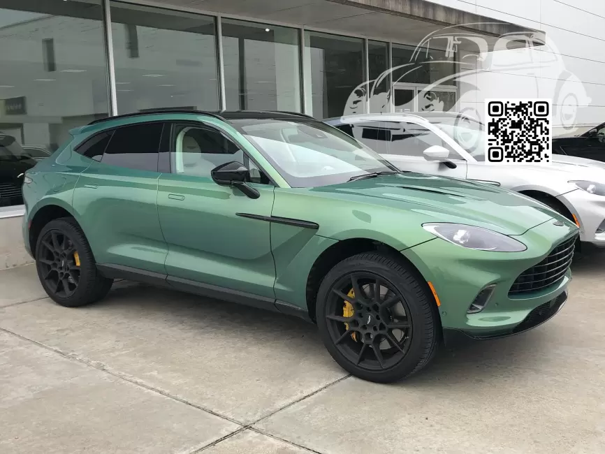 Aston Martin | DBX (AM8) | AM6028, P6028ABP - IRIDESCENT EMERALD (Q Palette) 0