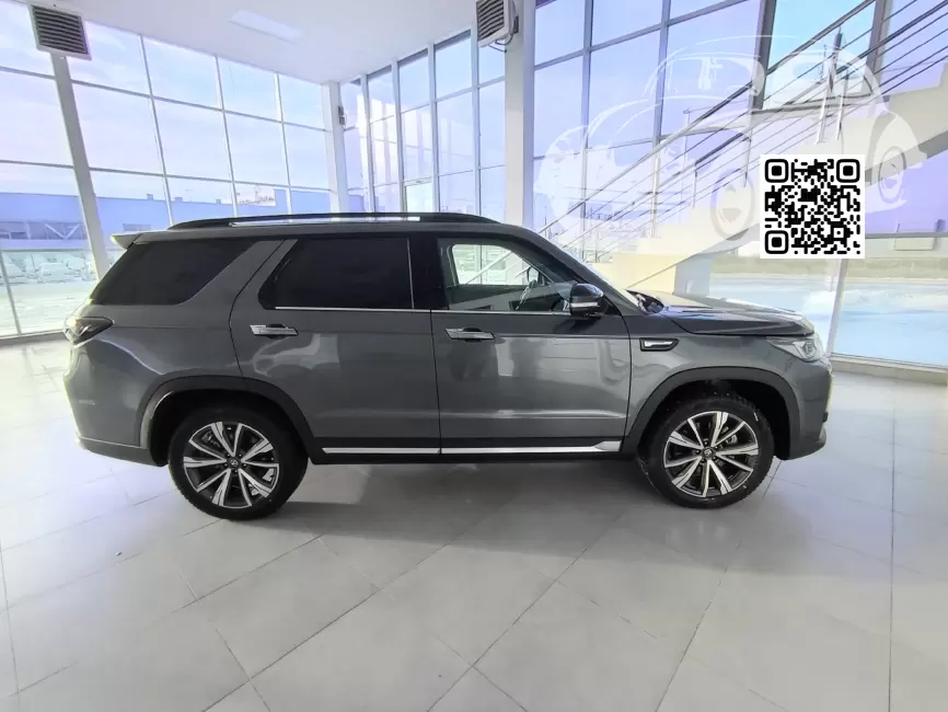 CS95 | SG6, 062, SH8, Y24 - ANDEAN ASH, ANDEAN GRAY 1