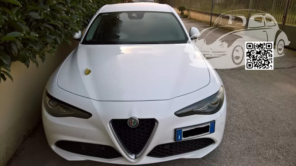 Alfa Romeo | GIULIA (952) | 217, 217/B, 5B2 - BIANCO ALFA, ALFA WHITE (СОЛИД) 0