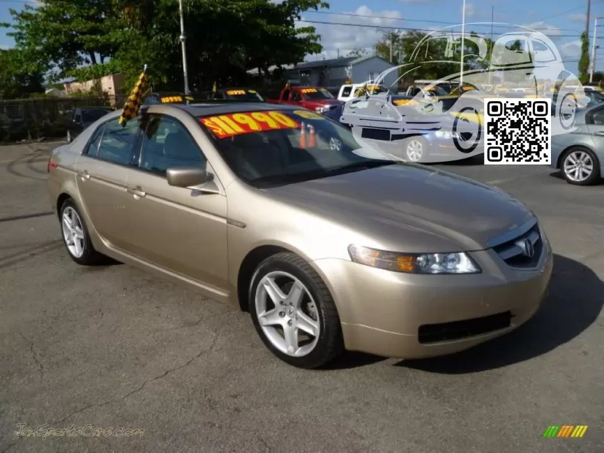 TL (UA6-UA7) | YR538M - DESERT MIST (2004-2007) 0