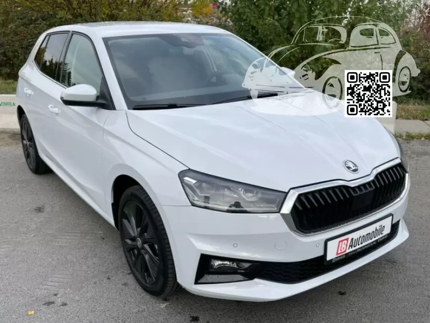 Skoda | FABIA 4 (MK4) | LS9R, 2Y, S9R, 2Y2Y - MOON WHITE, MOONWEISS, BLANC LUNE, GLACIER WHITE 0