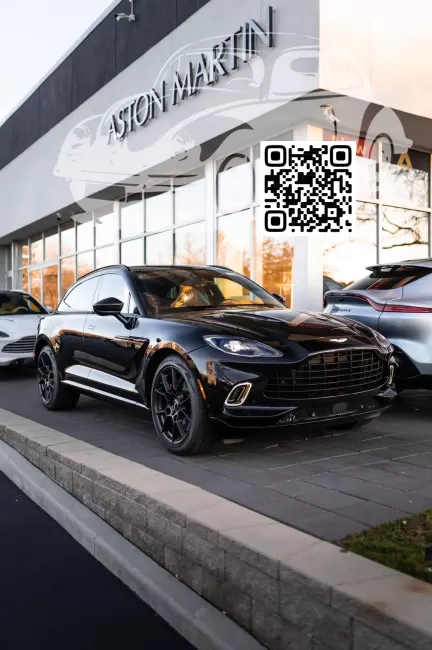 Aston Martin | DBX (AM8) | AST1328D, 1328D - JET BLACK (СОЛИД) 1