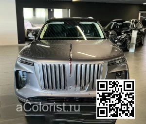 Hongqi | E-HS9 | 1N - GREY 0