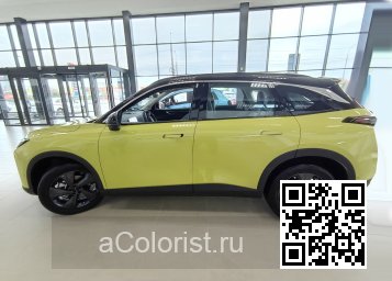 X55 | OAK, NDG - YELLOW SUBMARINE 3