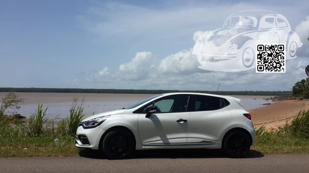 Renault | CLIO 4 (X98) | QND - GIVRE, GIVRE NACRE 1