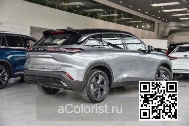 X55 | GAN, NDE - GRAY METALLIC 1