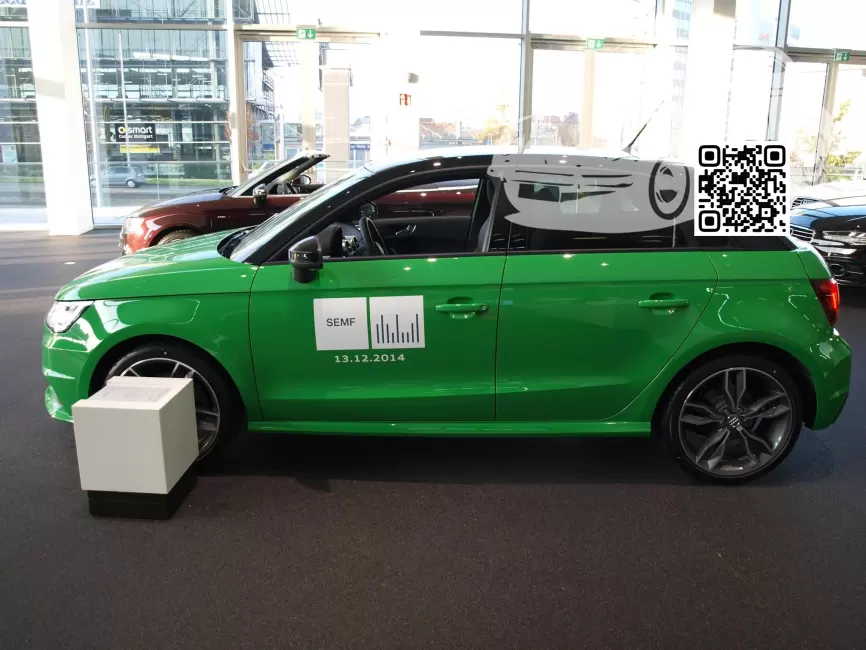 A1, S1 (8X) | 225 - VIPER GREEN, VIPERGRUEN, VIPERGRÜN (СОЛИД) (PORSCHE) 1