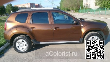 Renault | DUSTER | CNA - BRUN ACAJOU 1