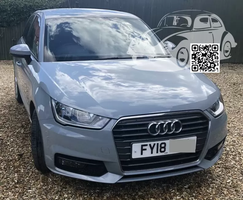 A1, S1 (8X) | Z7W, LZ7W, 1X, 1X1X - AVIATOR GRAY PEARL, PFEILGRAU, PFEILGRAU PERLEFFEKT, ARROW GREY PEARL, GRIGIO FRECCIA PERLA 0