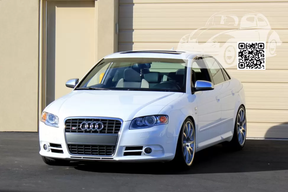 Audi | A4,S4,RS4 (B7, 8E, 8H) | Y9C, LY9C, T9, T9T9 - IBIS WHITE, IBISWEISS, BLANC IBIS/BIANCO MONOCERUS (СОЛИД) 1